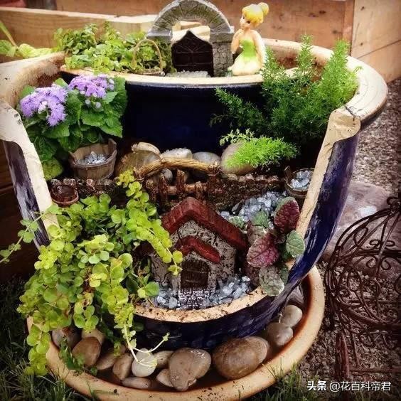 不小心打碎花盆,已经种植的花盆怎么打孔