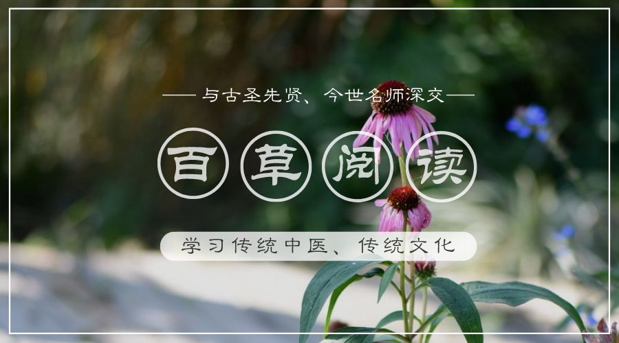 选择中医董洪涛,董洪涛谈中医专家