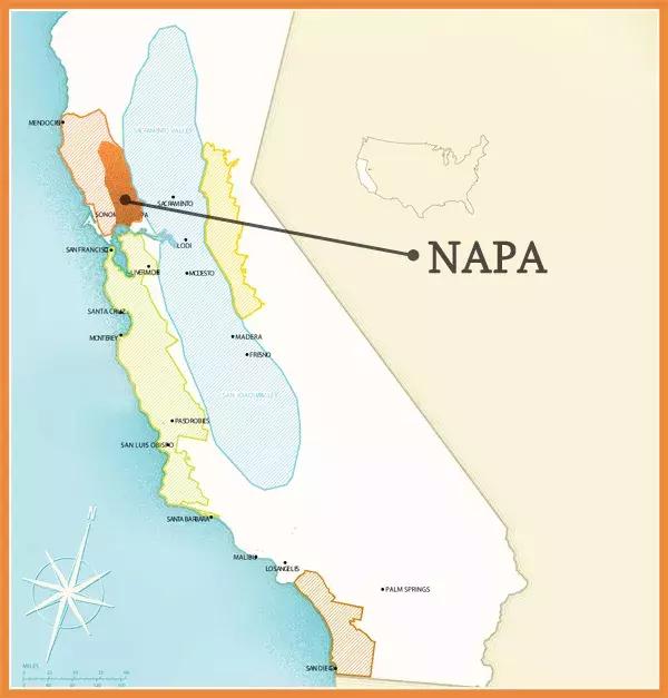紫水晶葡萄品种,葡萄品种大全及英文