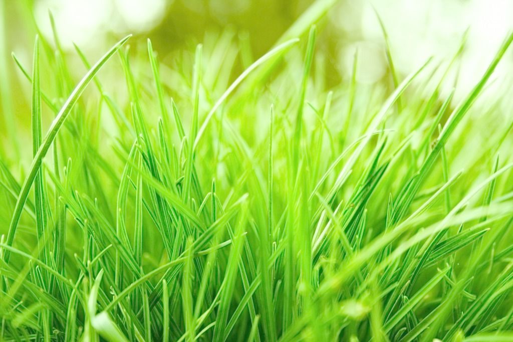 自然堂洁面乳深层清洁收缩毛孔,积雪草去黑头收缩毛孔深层清洁