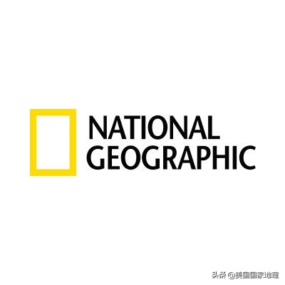 蜜蜂不为人知的小秘密,蜜蜂你不知道的秘密