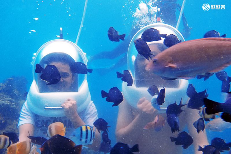 长滩岛海底世界,长滩岛海底漫步在哪里
