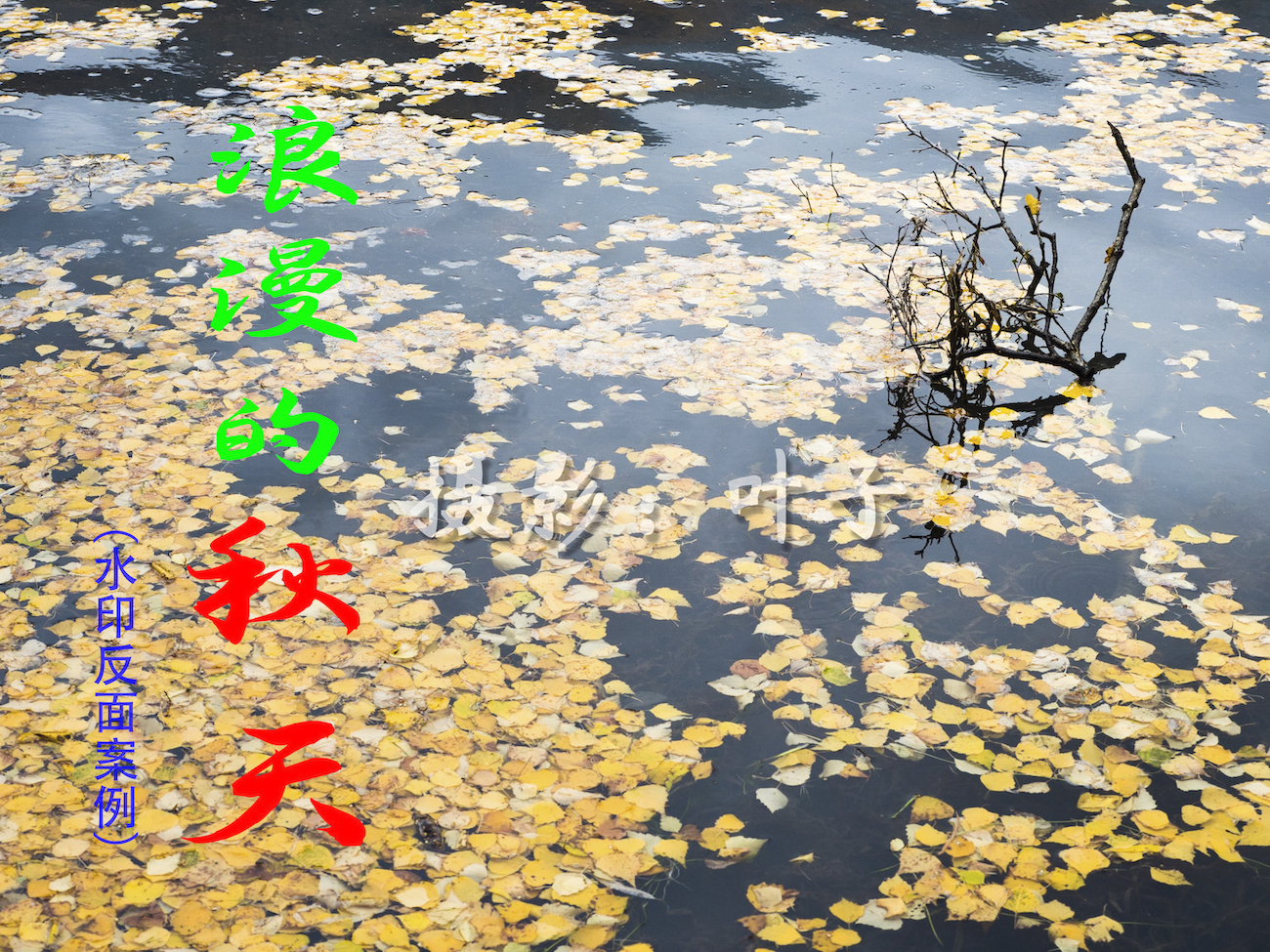 摄影师是如何给照片➕水印的,摄影如何设置照片水印位置