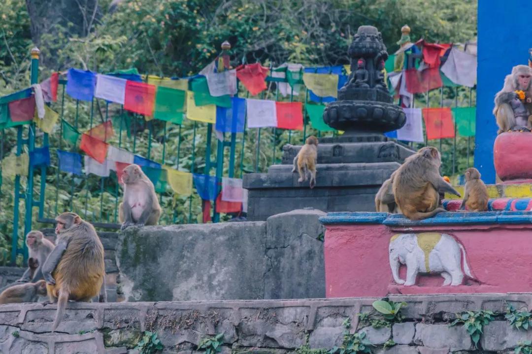 这个微笑国度，见人就夸漂亮，300元就能在天空滑翔