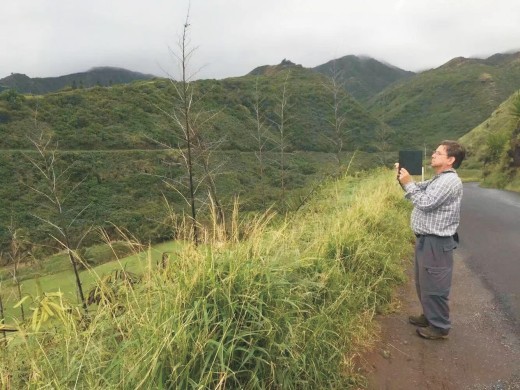 夏威夷的冬天简谱,夏威夷的冬天