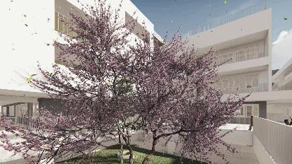 外看是学校，走进是花园！罗湖这所“神仙学校”建议原地出道！