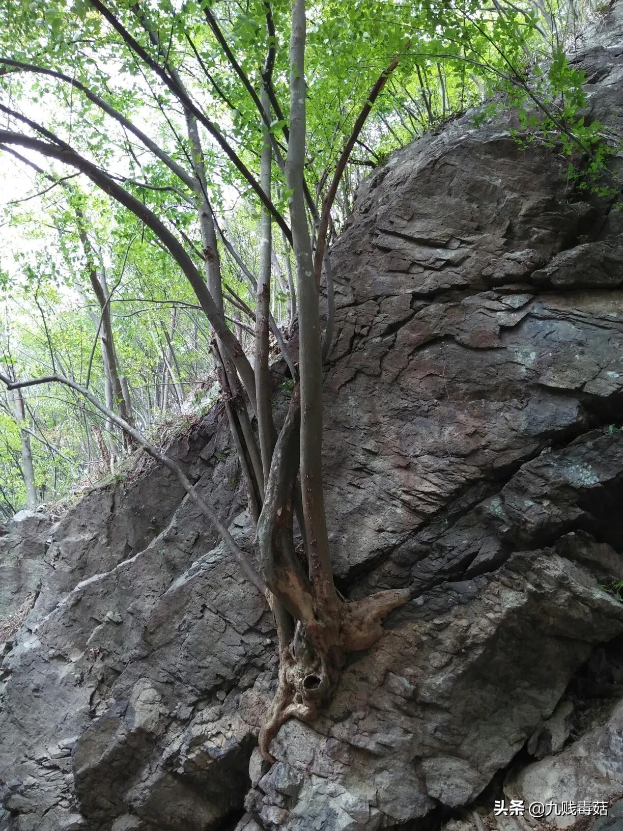 小说续写文案,小说续集第二部