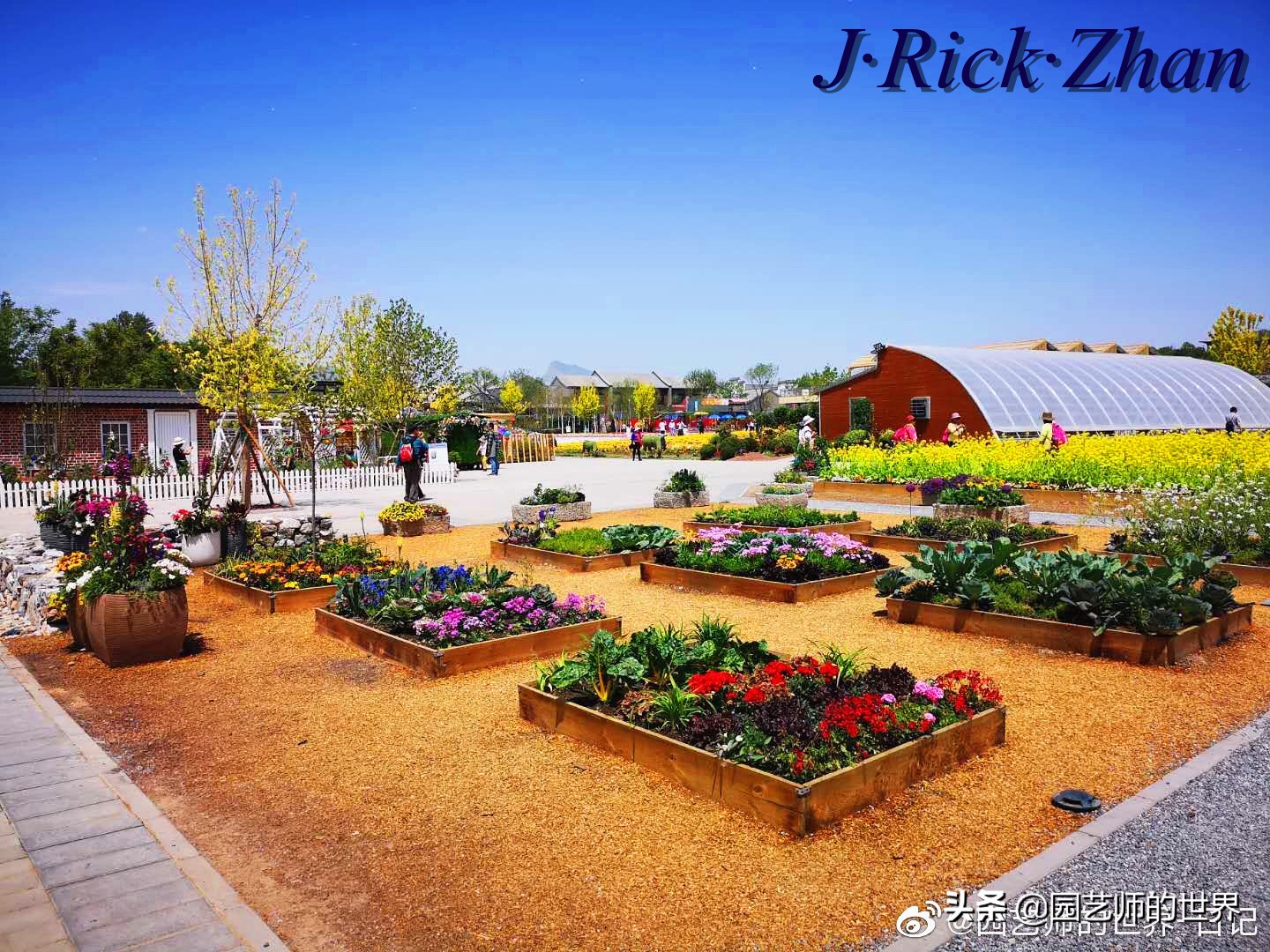 城市蔬菜园景观设计,蔬菜花园造型