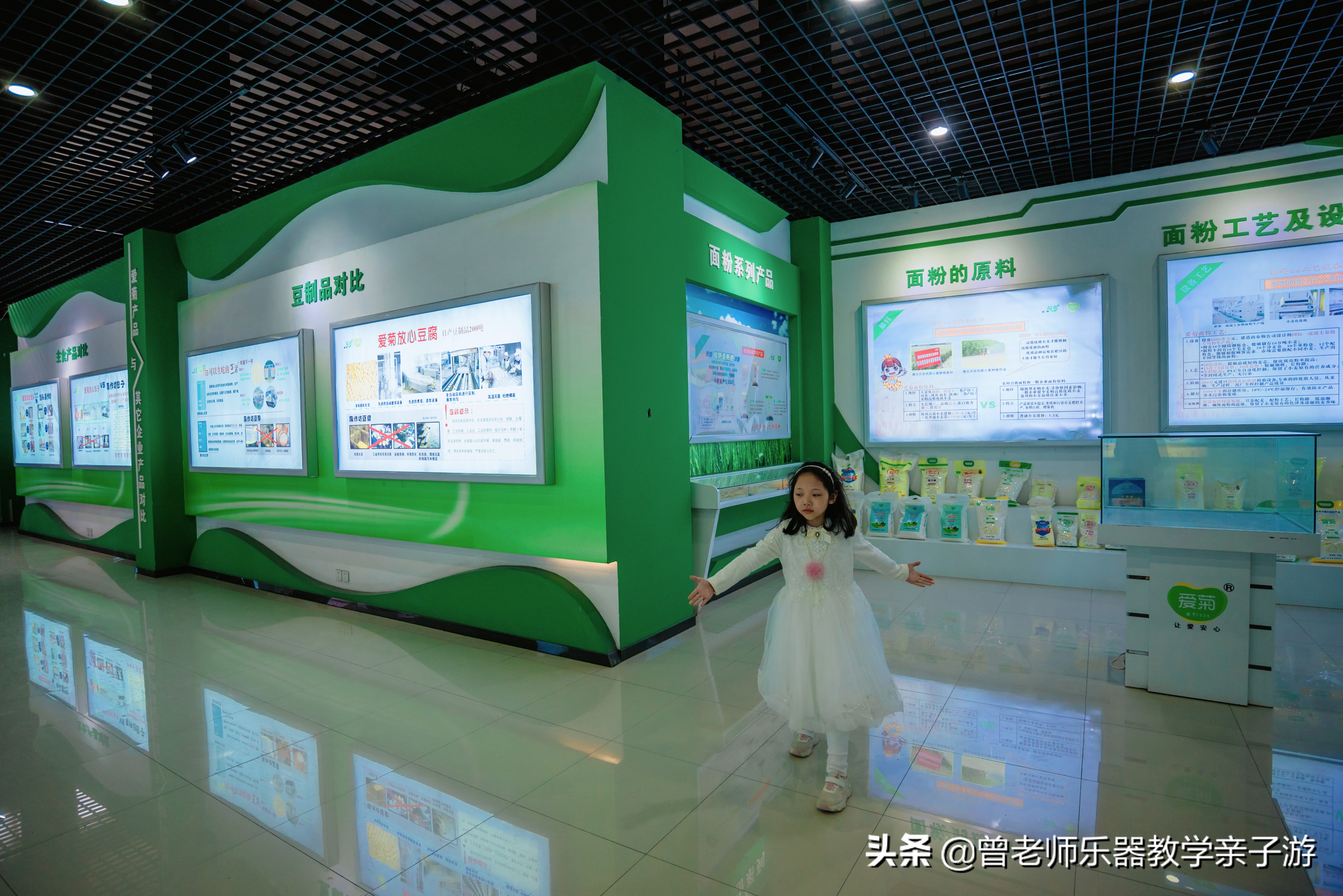 爱菊研学游,爱菊丝路文化菊花园西安