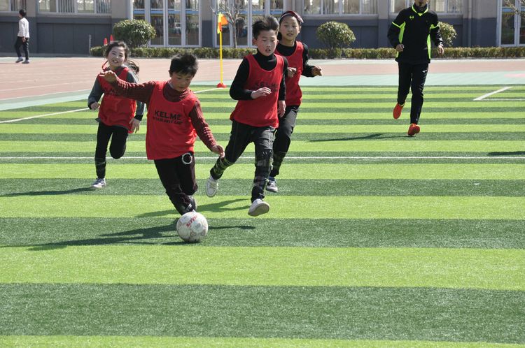 枣庄市建设路小学足球比赛,枣庄薛城区临山小学足球比赛