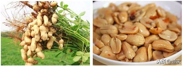 携带违禁品回国入境如何处罚,海关法入境违规携带物品处罚规定