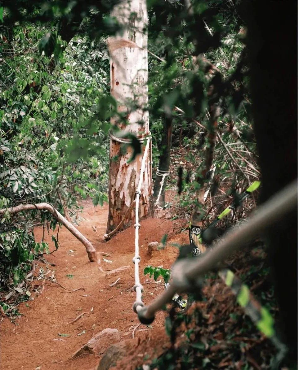 深圳首条手作“原始登山道”，人少好爬风景超美…过年去哪不用愁