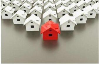 王卫华创建中国家居饰品网，推动国内家居饰品产业新发展