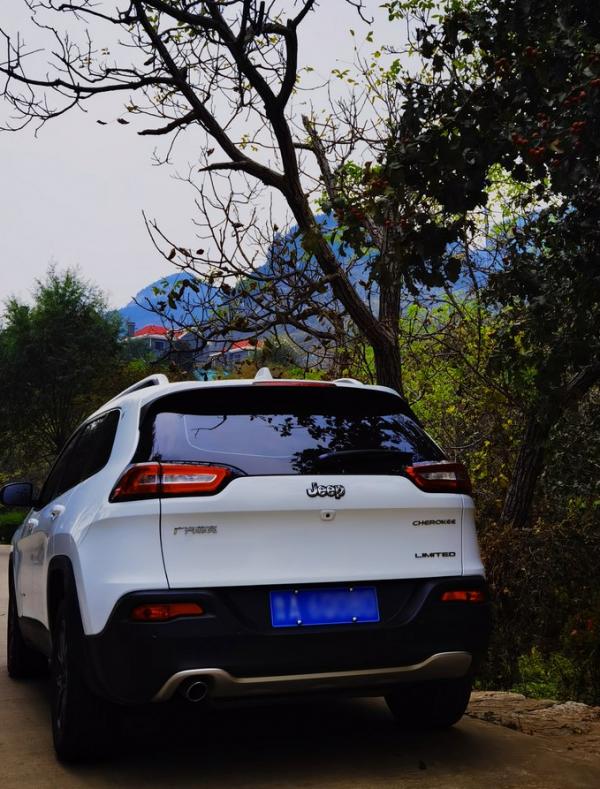 自由光2.0t驾驶感受,18年自由光2.4车主真实感受