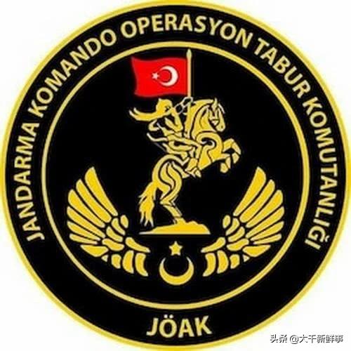 世界十大经典特种作战,世界十大特种部队战绩极为经典