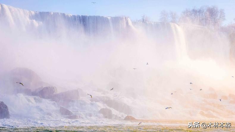加拿大旅行日记,多伦多最佳生活日记