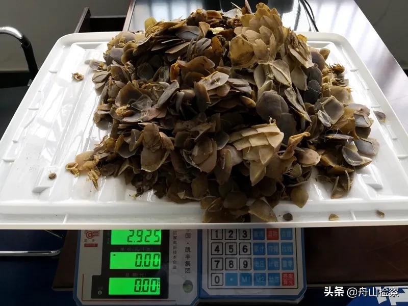 非法收购野生保护动物,非法收购野生陆生动物罪