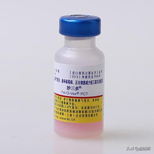 猫咪接种后精神不好应该关注什么,猫咪接种疫苗后腹泻怎么办