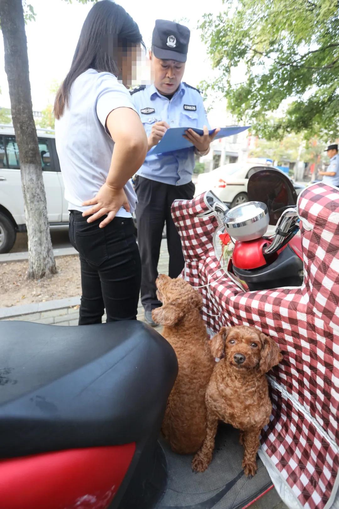 徐州继续整治！1人遛4狗受处罚！