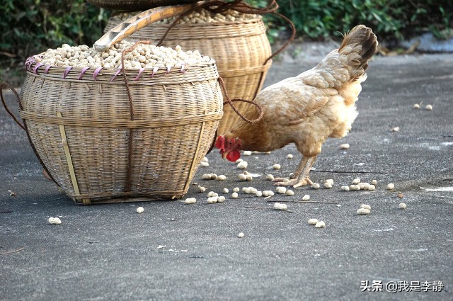 你知道哪些症状属于过度疲劳吗,怎么知道自己处于疲劳态势