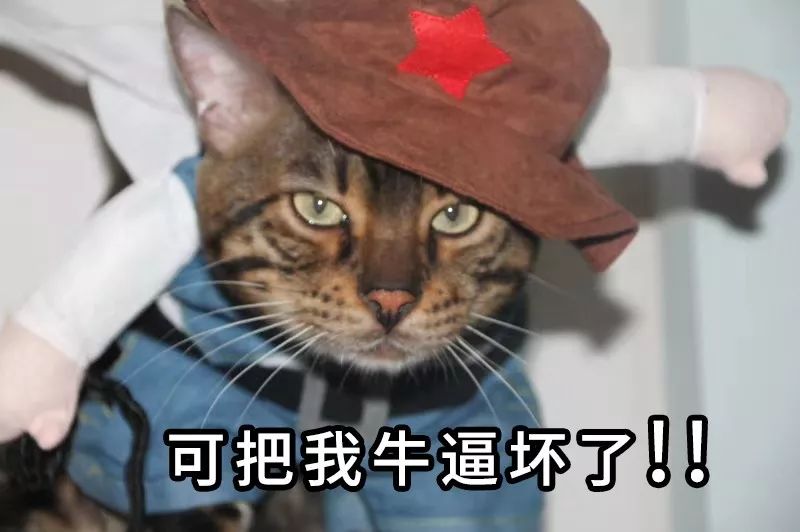 叶檀财经投资价值排行,叶檀财经推荐的股票有哪些