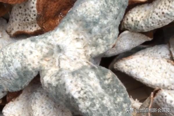 如何辨别陈皮是否发霉,新会陈皮怎么保存才不会发霉