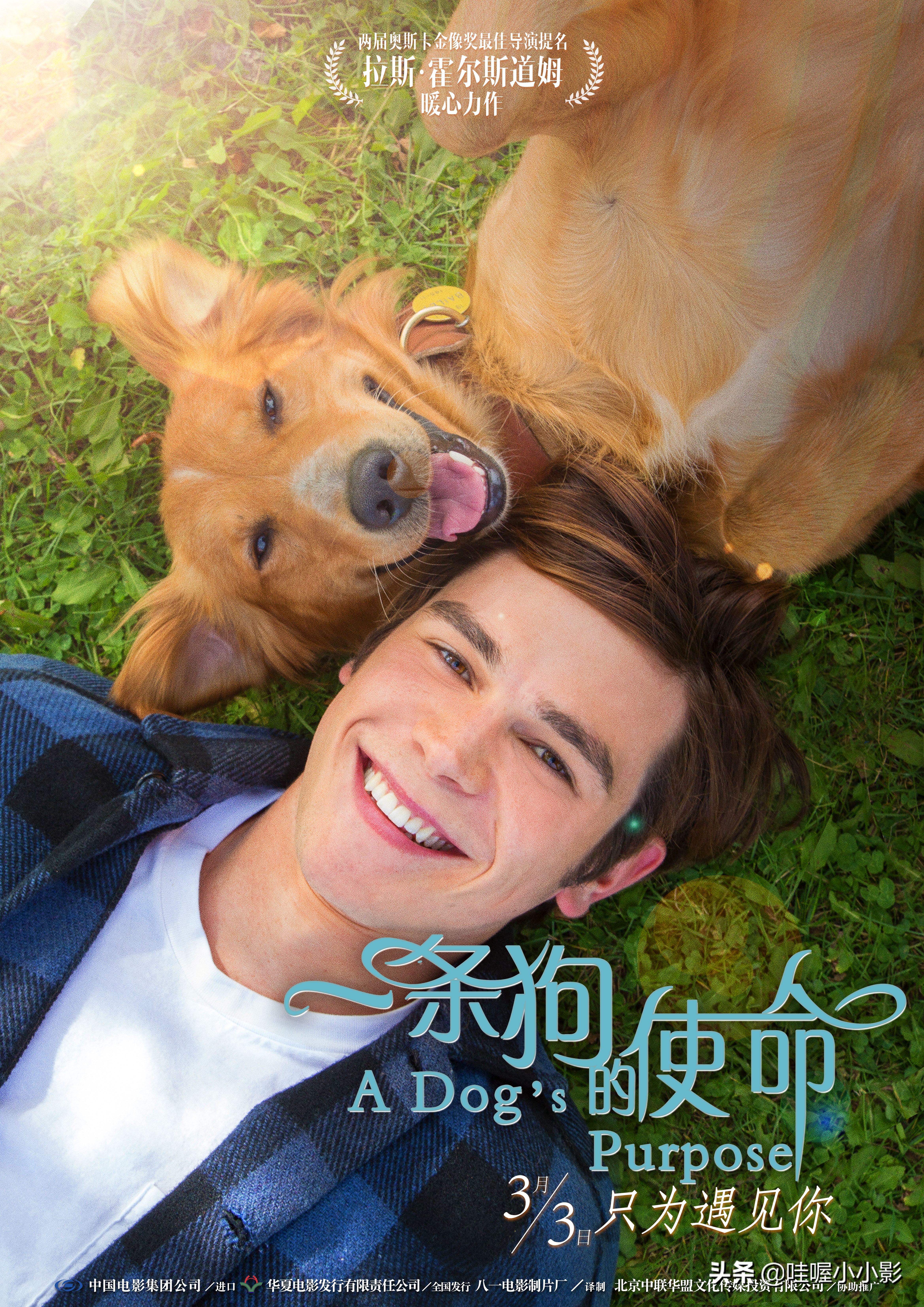 好好释放一下。这十五部电影能让你大哭一场