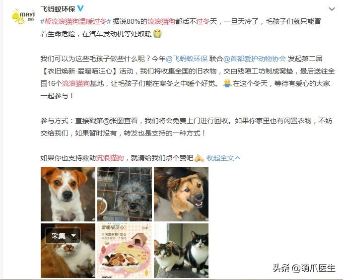 猫咪也会做噩梦吗,猫也会做噩梦吗