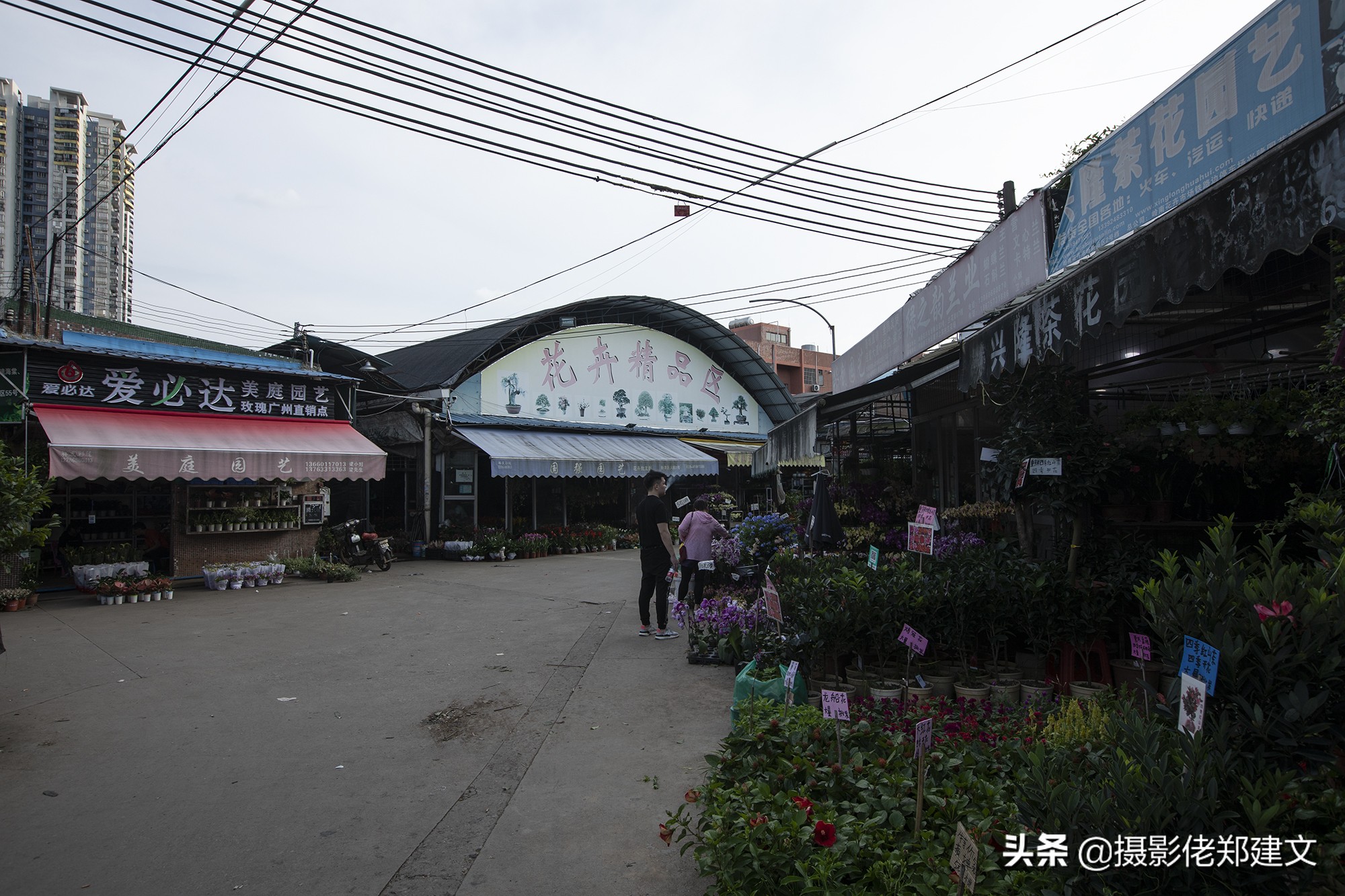 中国最大鲜花交易市场在哪座城市,南方最大的批发鲜花市场