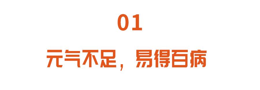 元气不够吃哪些菜更好,补脾胃补元气最好的食物