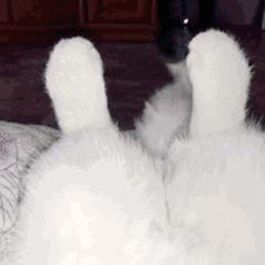 最近假冒大牌化妆品事件,国内现在假冒化妆品有哪些