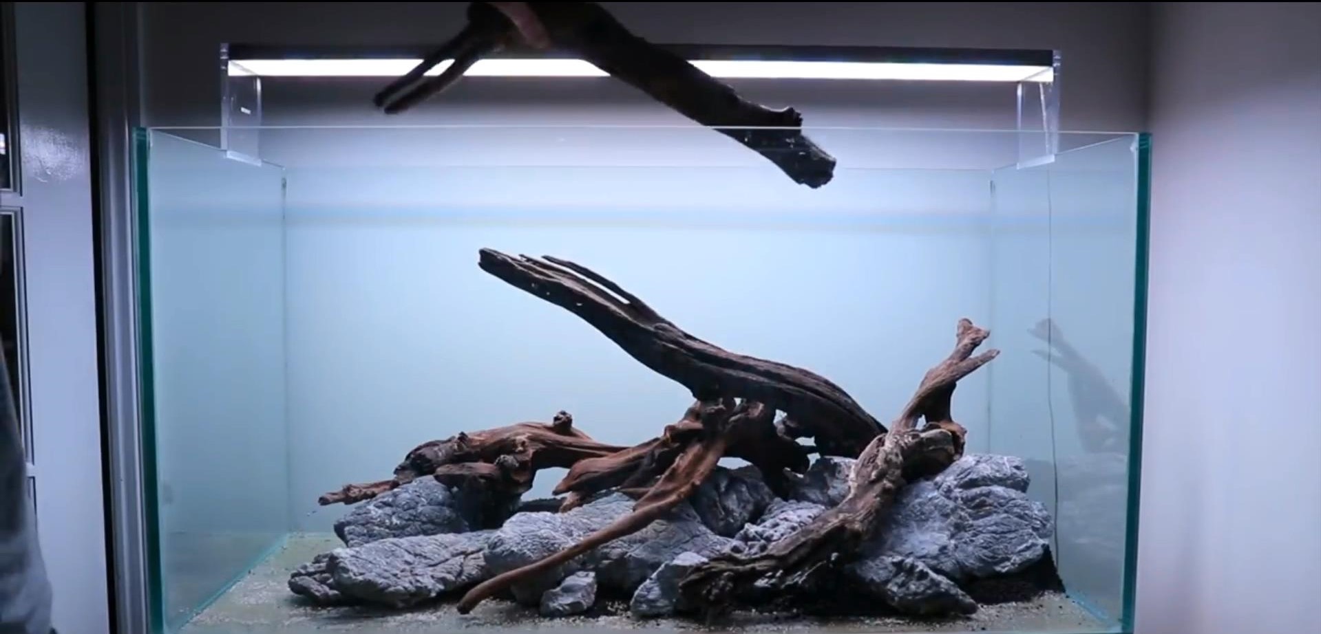 沉木草缸入门造景,50厘米草缸入门造景