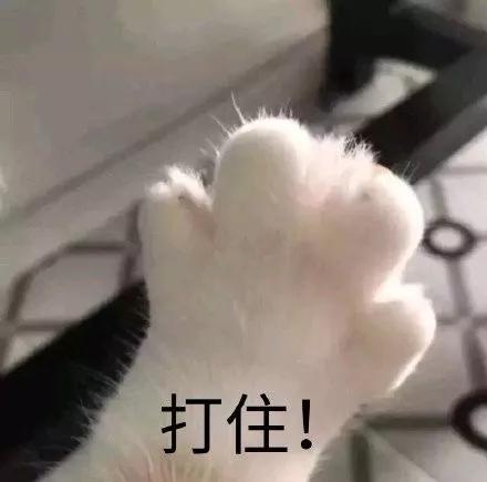 倩碧杏仁色腮红,倩碧樱花腮红好看吗