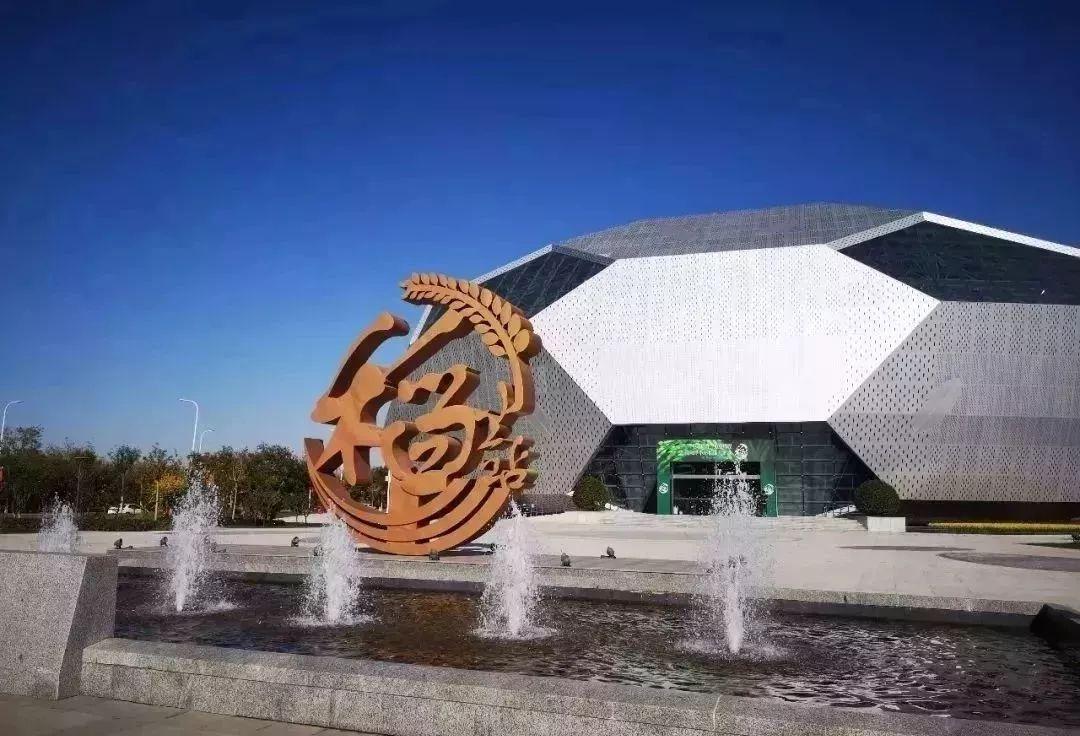 是什么让越来越多的年轻人爱上津南，留在津南！