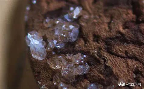 葡萄酒有渣是好还是坏,葡萄酒里有籽和梗吗