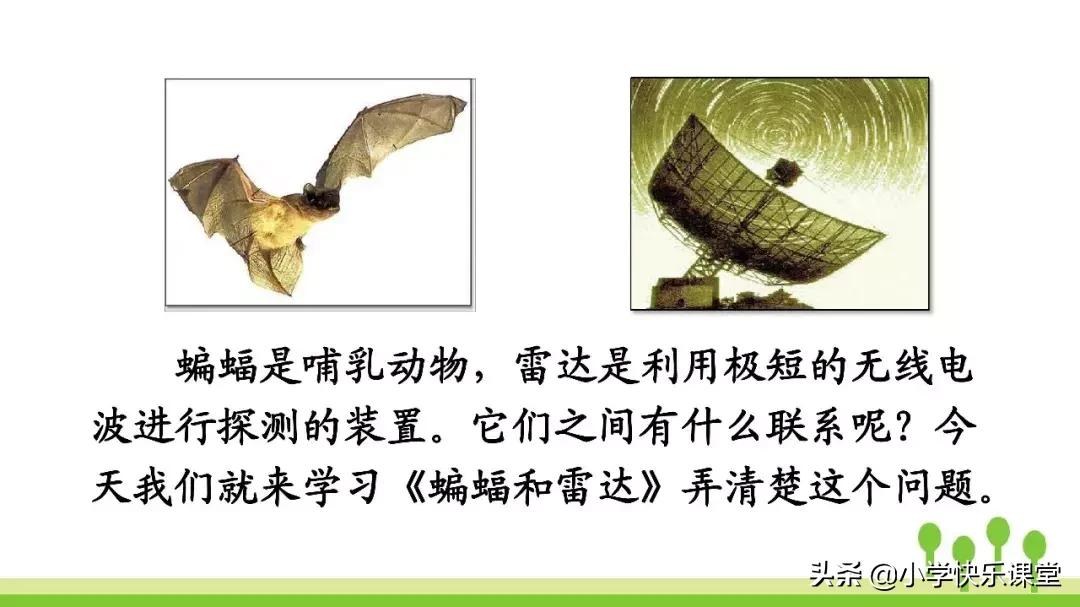 四年级上册语文蝙蝠和雷达课后题,部编版四年级上册语文蝙蝠和雷达