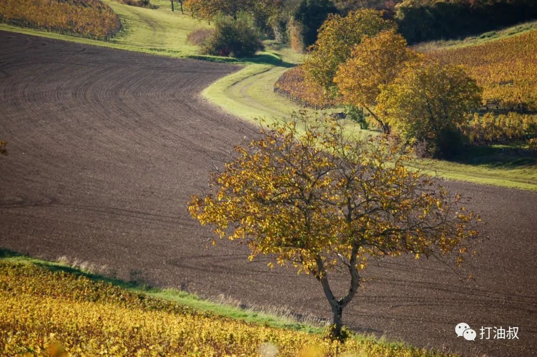 卢瓦尔河谷古堡之旅 (法国卢瓦尔河谷后花园)