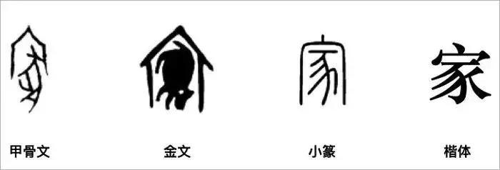 猪为何代表富贵,猪为何是生肖