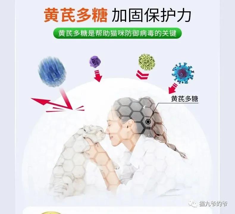 猫咪疱疹病毒和猫鼻支症状一样吗,猫疱疹病毒每只猫都有吗