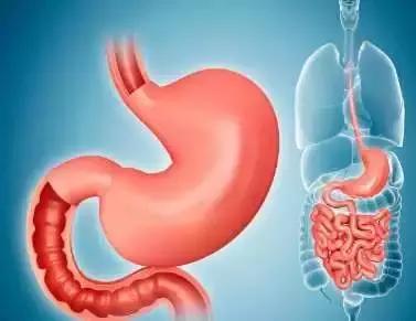 打响健康保卫战,养胃护胃指南视频