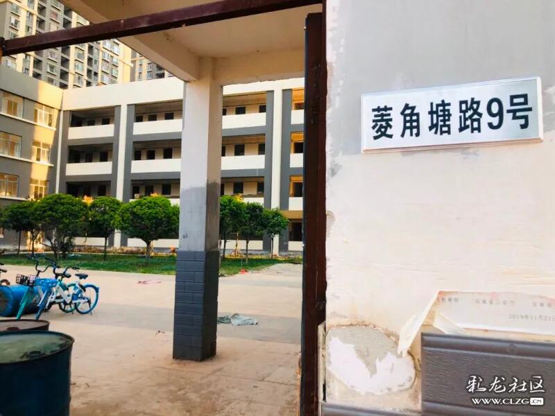 春城小学本部拆迁,春城小学金域校区基本情况