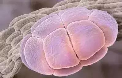 为什么科学上神鬼都不存在的,为什么神话中神仙都是奇形怪状的