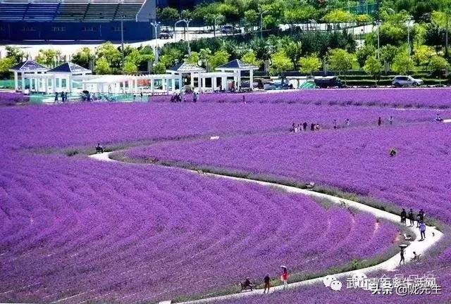 甘肃自古以来都很穷吗,甘肃省有几件国宝级文物