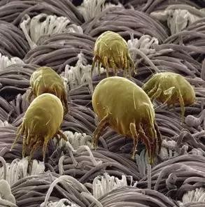 打喷嚏流鼻涕一直不好怎么回事,一直流鼻涕打喷嚏持续很久了