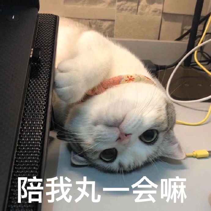 漂亮姐姐可以带我打游戏吗表情包,简单可爱的表情包仙女姐姐