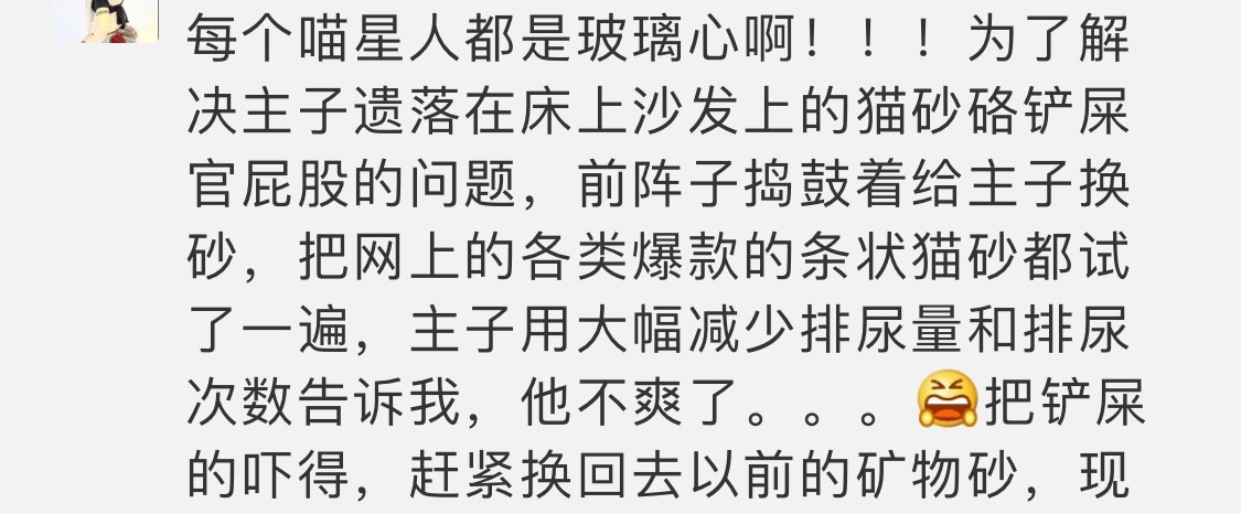 猫咪可以缓解焦虑抑郁吗,猫也会焦虑型留恋吗