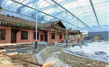 支持的是大棚，整治的是大棚房，区别你弄得明白吗？