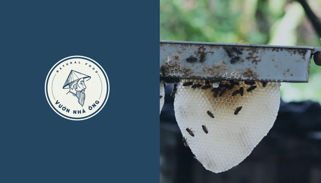 蜂蜜插画包装设计创意,高端蜂蜜产品包装设计