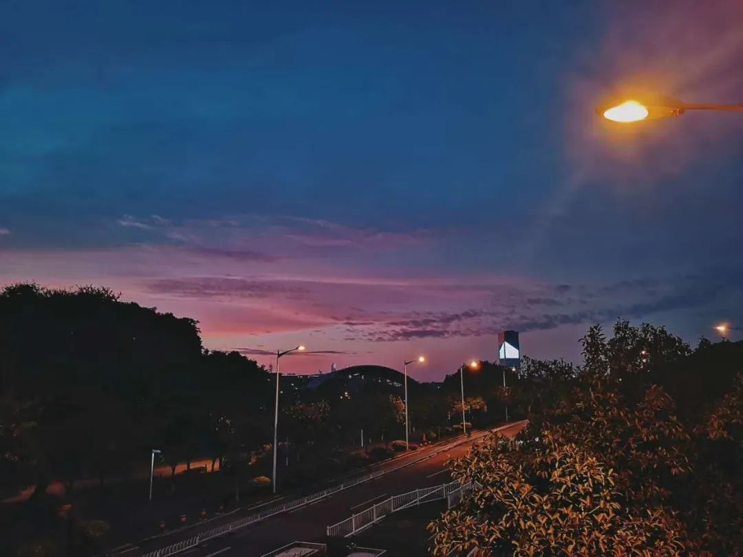 20跨考北大汇丰深财一战上岸：万字分享焦虑患者的考研自救手册