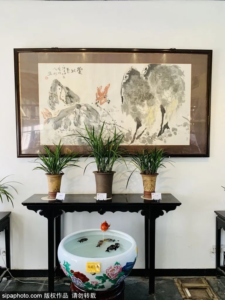 北京花海免费旅游,北京看花海最好的地方